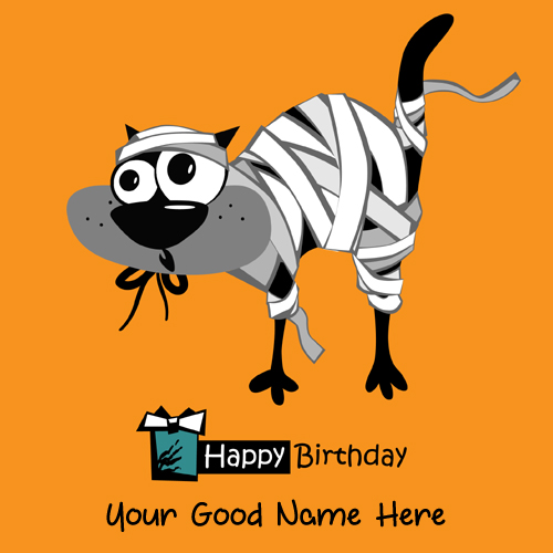 Write Name on Happy Birthday Greeting With Funny Cat